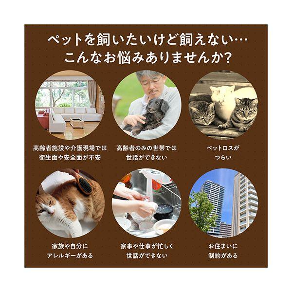ARTEC よんで だっこして おへんじアニマル2 トイプードル ATC33015_3