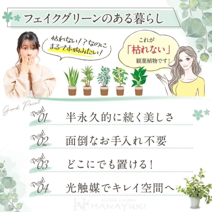 HANAYUKI フェイクグリーン グリーンネックレス 吊り下げ ハンギング