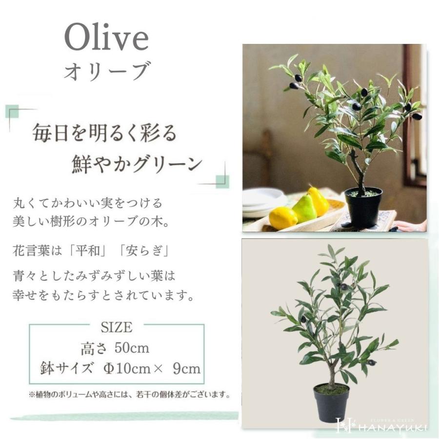 フェイクグリーン オリーブの木 卓上サイズ 50cm 光触媒加工 人工観葉植物 室内用 おしゃれ インテリア 店舗 父の日 プレゼント 開店祝い 退院祝い Hanayuki 限定製作