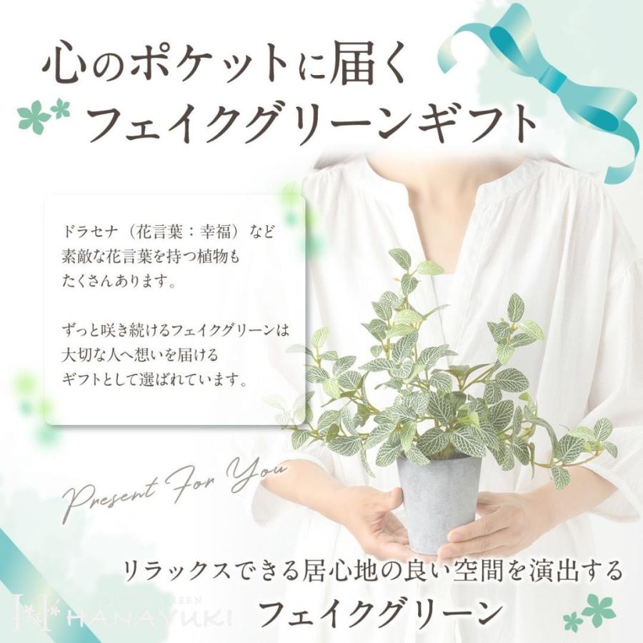 フェイクグリーン パキラ 卓上サイズ 30cm 光触媒加工 人工観葉植物