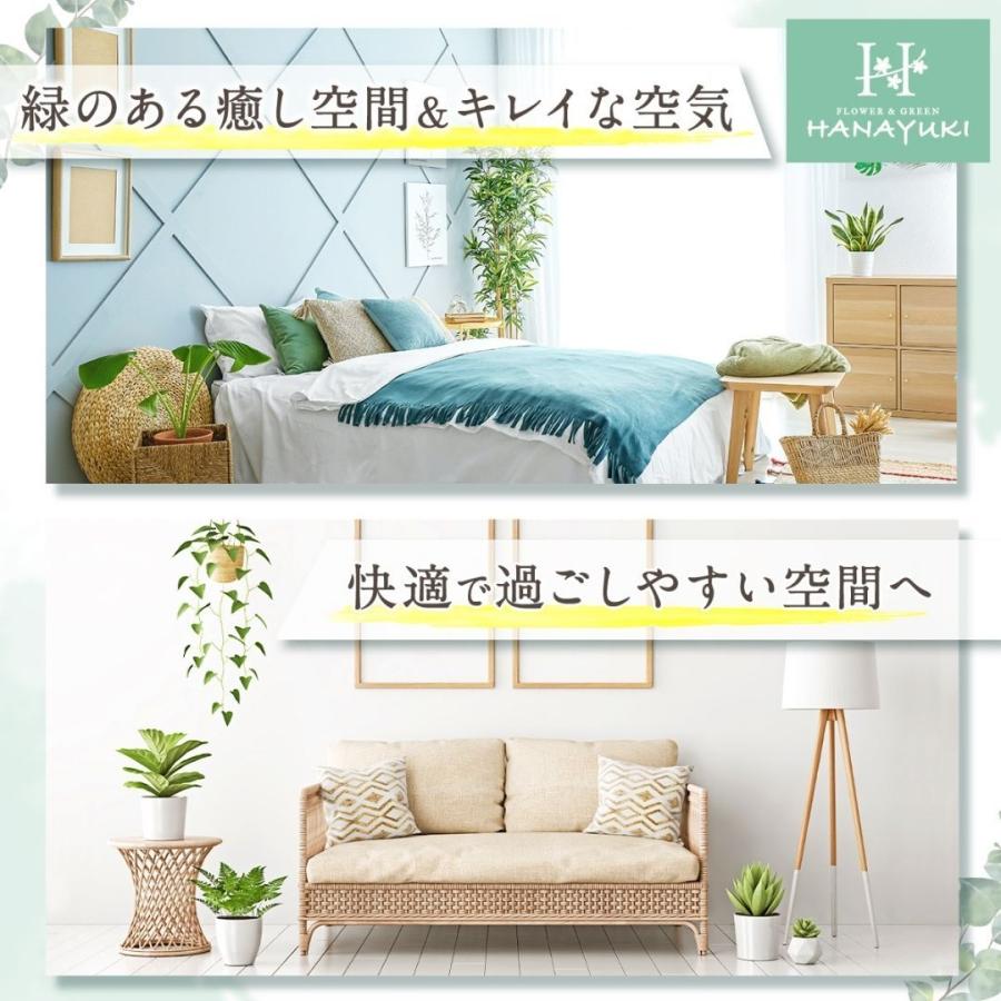 フェイクグリーン パキラ 卓上サイズ 30cm 光触媒加工 人工観葉植物
