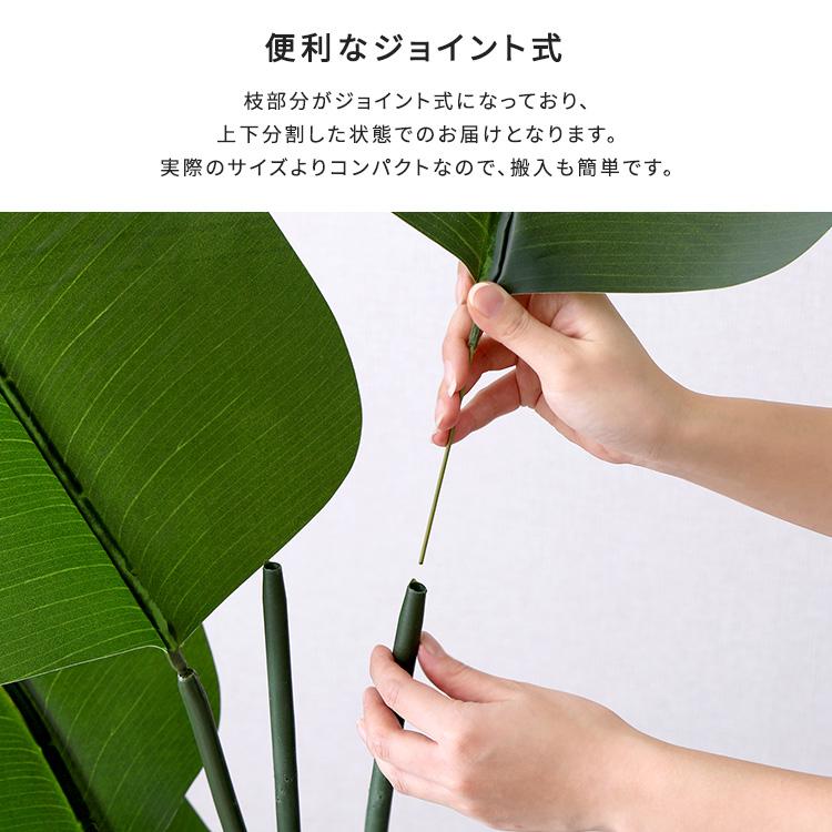 お手入れ簡単フェイクグリーン ストレリチア Mサイズ(150cm)の画像