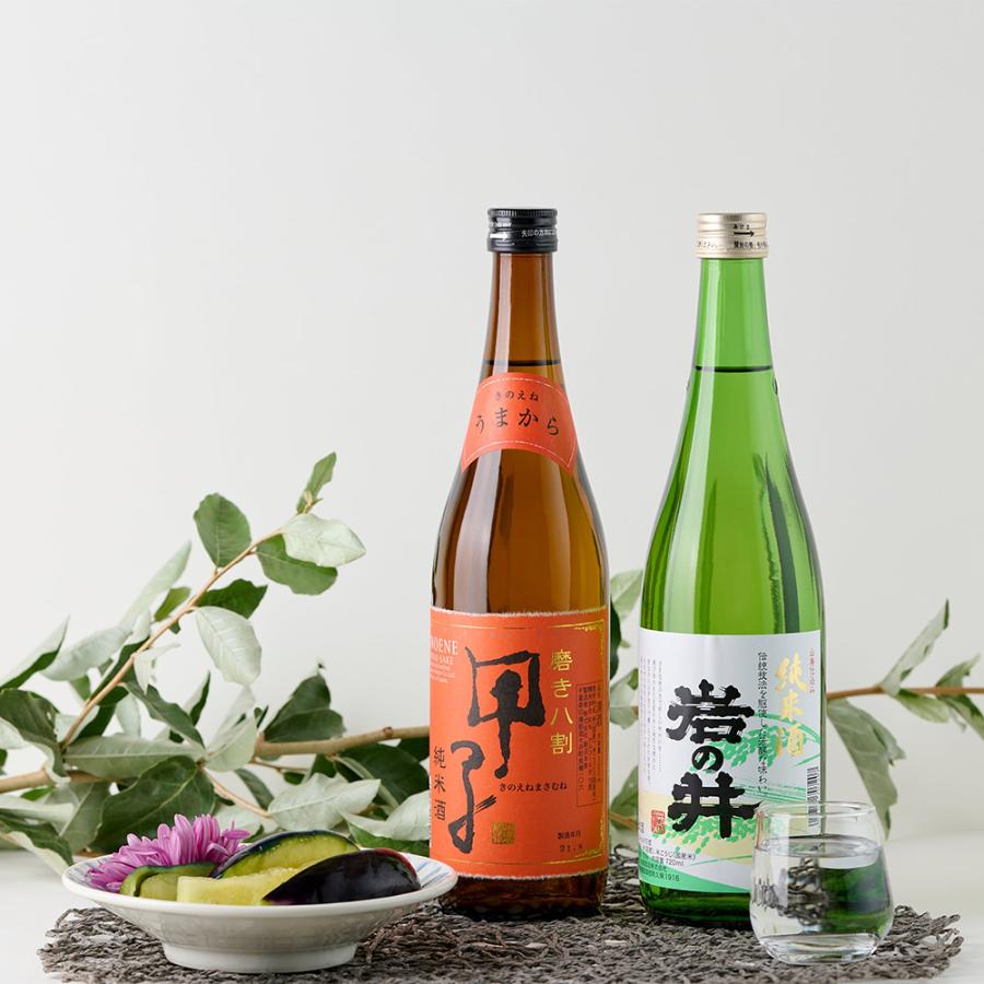 日本酒 全国燗酒コンテスト部門金賞セットB 飲み比べ熱燗ギフト