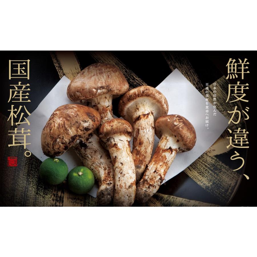 大容量 国産 冷凍 松茸 冷凍つぼみ 業務用 【1kg】 500g×2袋 まつたけ 