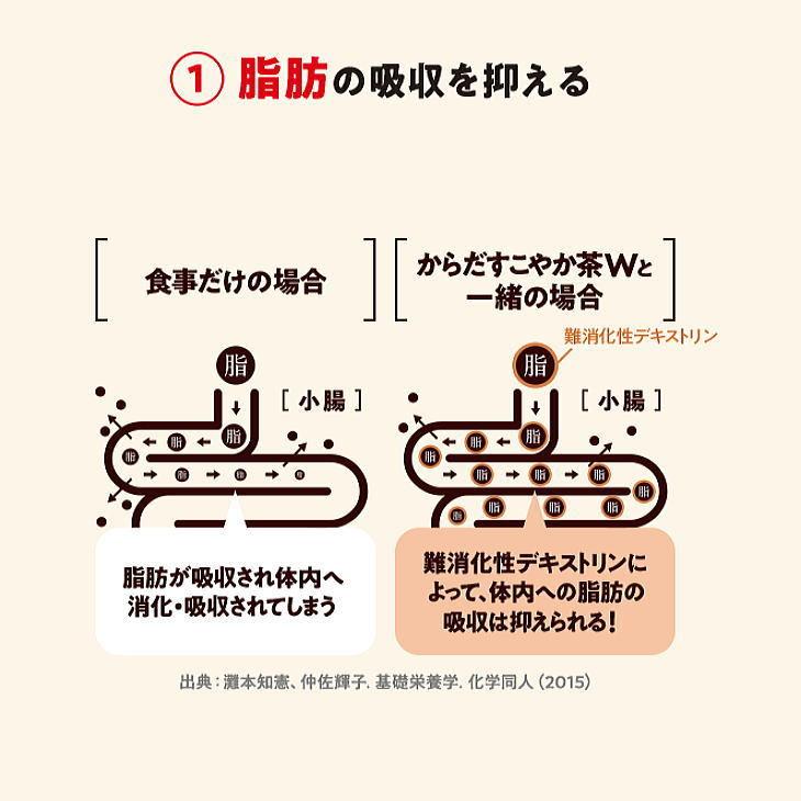 からだすこやか茶W 350ml PET 送料無料 合計24本 (24本×1ケース）お茶 特保 トクホ コカコーラ 脂肪 特定健康用食品 糖の吸収を抑えるお茶｜chibaya-umai｜06