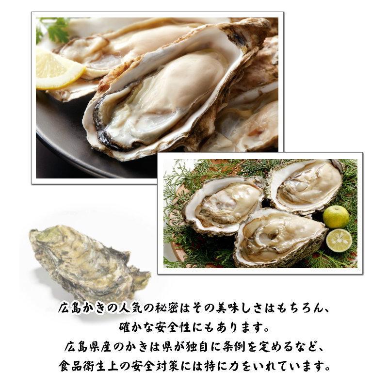 T お中元 御中元 広島産 大粒のかきフライ送料無料 贈り物 お礼ギフト お祝い返し 内祝い グルメ 惣菜 冷凍 お取り寄せグルメ kf-bb : kf-bb:ちばや - 通販 - Yahoo!ショッピング T お中元 御中元 広島産 大粒のかきフライ送料無料 贈り物 お礼ギフト お祝い返し 内祝い グルメ 惣菜 冷凍 お取り寄せグルメ kf-bb : kf-bb:ちばや - 通販 - Yahoo!ショッピング