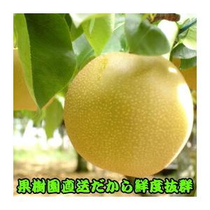 幸水 5kg【4L】9玉〜12玉前後 2025 贈答 秀品 なし 季節ギフト