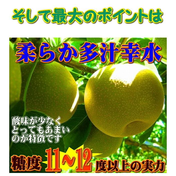 ぷーちゃん　5キロ　12〜13玉　幸水　梨 楽天市場】【8/25限定！全額ポイントバックの大チャンス】”幸