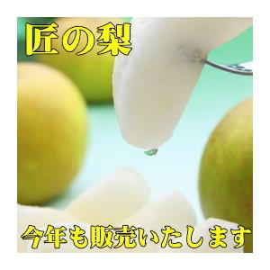 ぷーちゃん　5キロ　12〜13玉　幸水　梨 楽天市場】【8/25限定！全額ポイントバックの大チャンス】”幸