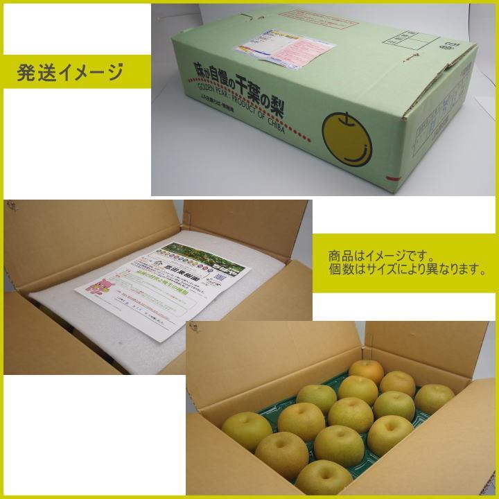 幸水 5kg【4L】9玉〜12玉前後 2025 贈答 秀品 なし 季節ギフト