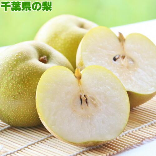 ゆかさま専用　自宅用幸水5キロ箱✖️2 幸水 5kg【5L】9玉〜10玉 梨 贈答 秀品 2025 千葉県の梨 ナシ