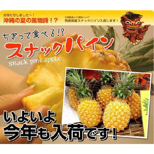 期間限定 西表島産スナックパイン＆ピーチパイン各2玉セット : 沖縄