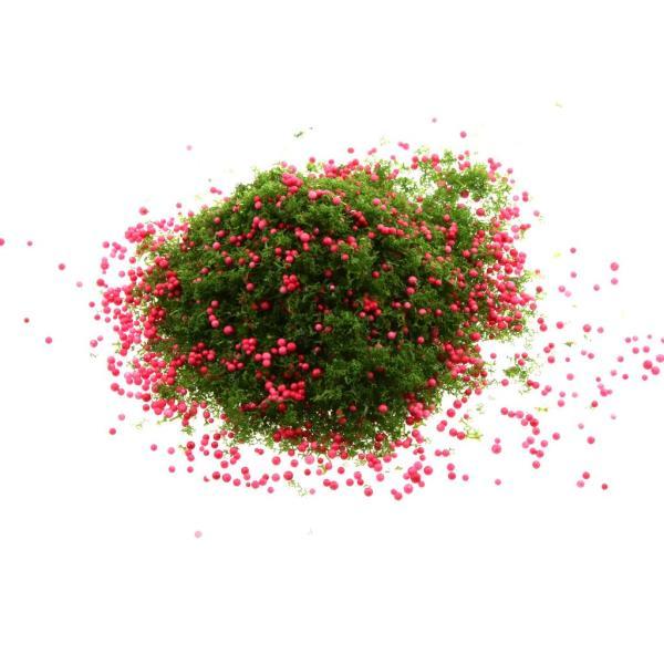 ミニフルーツdiyのための赤い果実緑の葉モデル風光明媚な材料｜chibi-maruya｜04