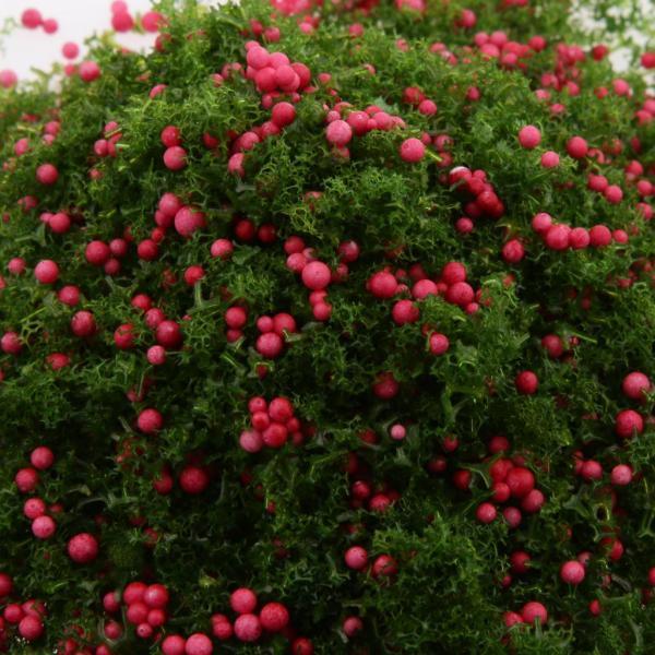 ミニフルーツdiyのための赤い果実緑の葉モデル風光明媚な材料｜chibi-maruya｜06