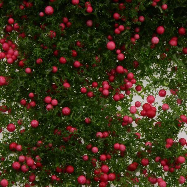 ミニフルーツdiyのための赤い果実緑の葉モデル風光明媚な材料｜chibi-maruya｜07