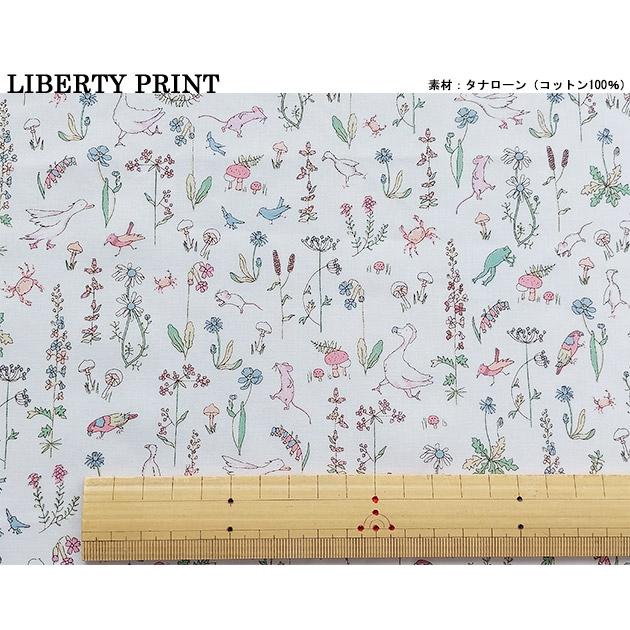 リバティプリント【タナローン/別注】セオ（クラウディ J22D