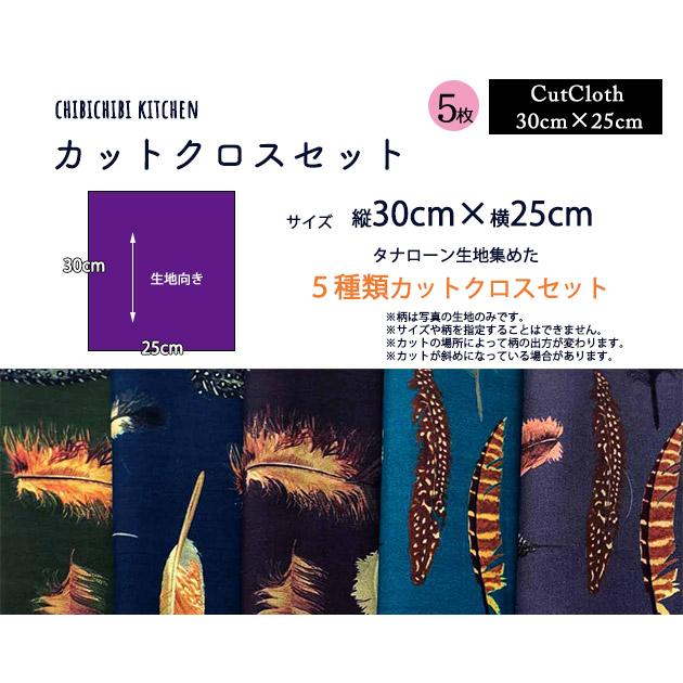 カットクロス ＜アマースト＞ 羽 フェザー柄 はぎれ 5種類セット