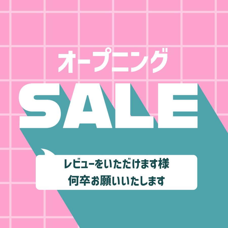 お香立て お香 ケース 横置き おしゃれ 線香 アロマ 香炉 仏具 こぼれない 磁石｜chicafuji-kikaku｜09