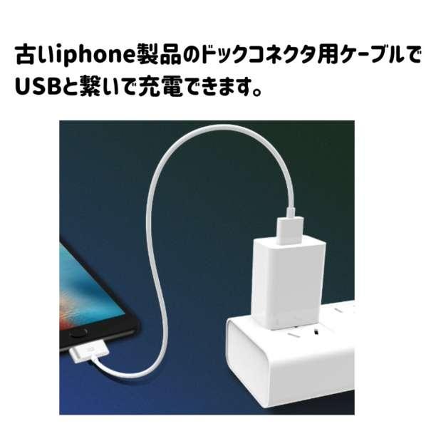 旧型 iPhone iPad iPod ケーブル 充電器 充電 USB ホワイト 旧タイプ｜chicafuji-kikaku｜03