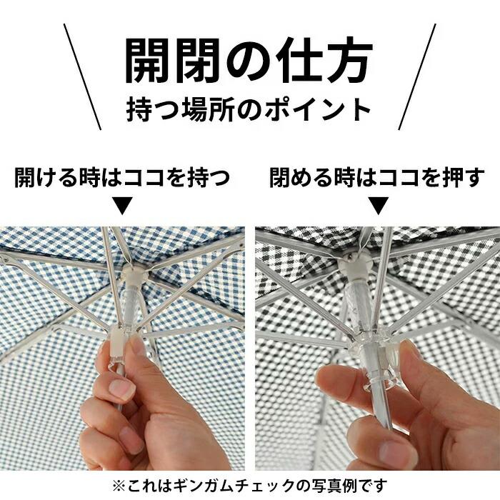 クローバー様5169 