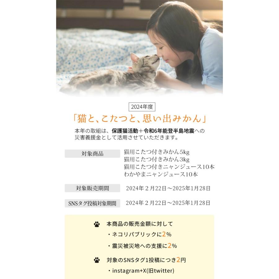 猫と、こたつと、思い出みかん 日本初猫専用こたつ付(段ボール製