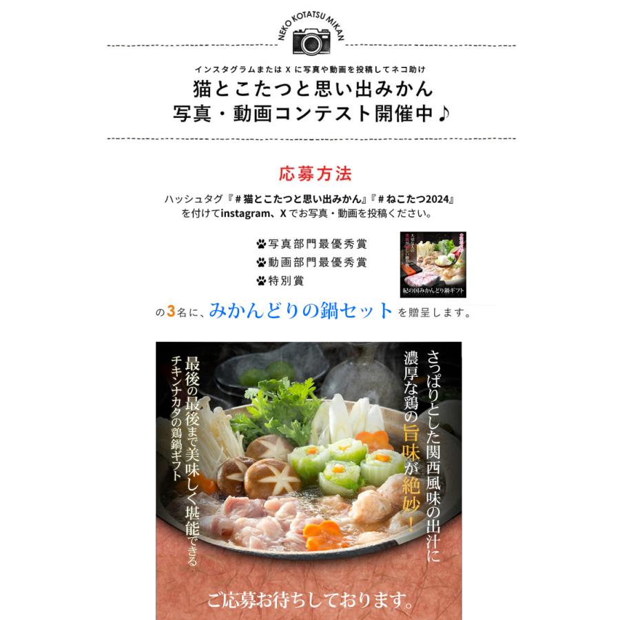 猫と、こたつと、思い出みかん 日本初猫専用こたつ付(段ボール製