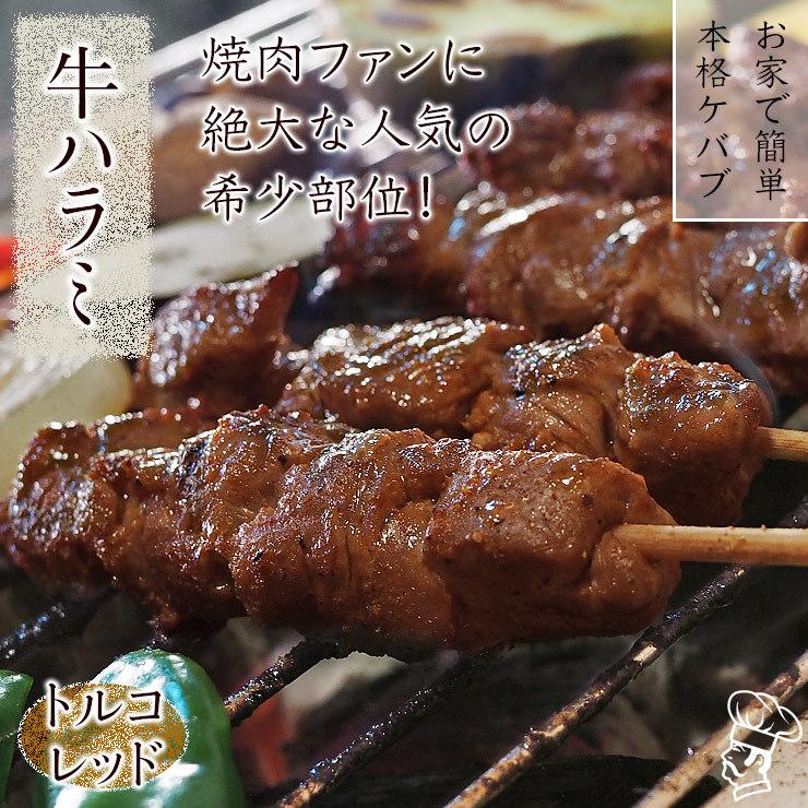 牛串 牛ハラミ トルコレッド ケバブ 5本 焼き肉 焼鳥 肉 ギフト 贈り物