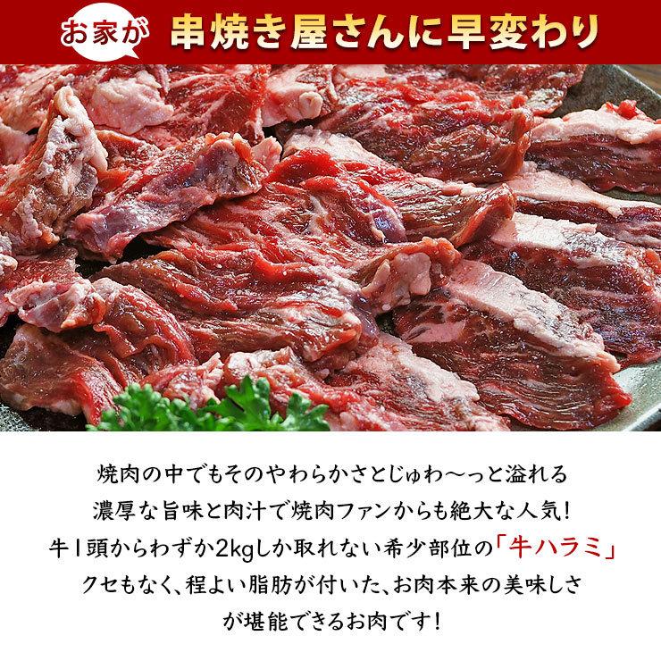 牛串 牛ハラミ 焼き肉 醤油だれ 5本 BBQ 焼き肉 バーベキュー 焼鳥 肉 お中元 ギフト 贈り物 生 チルド｜chickenmeister｜03