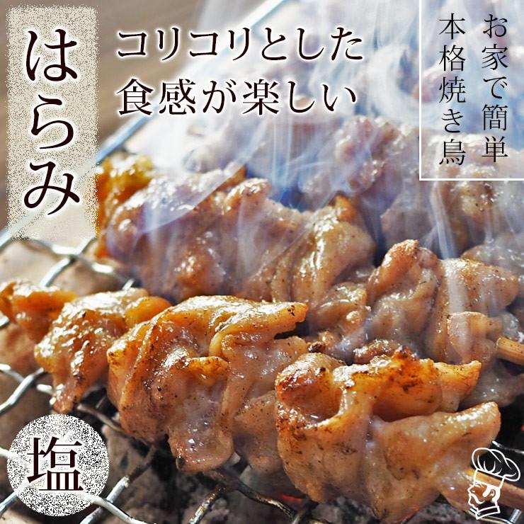 焼き鳥 国産 はらみ串 横隔膜 塩 5本 q バーベキュー 焼鳥 惣菜 おつまみ 家飲み 肉 グリル ギフト 生 チルド Harami Sio グルメマイスター Yahoo 店 通販 Yahoo ショッピング