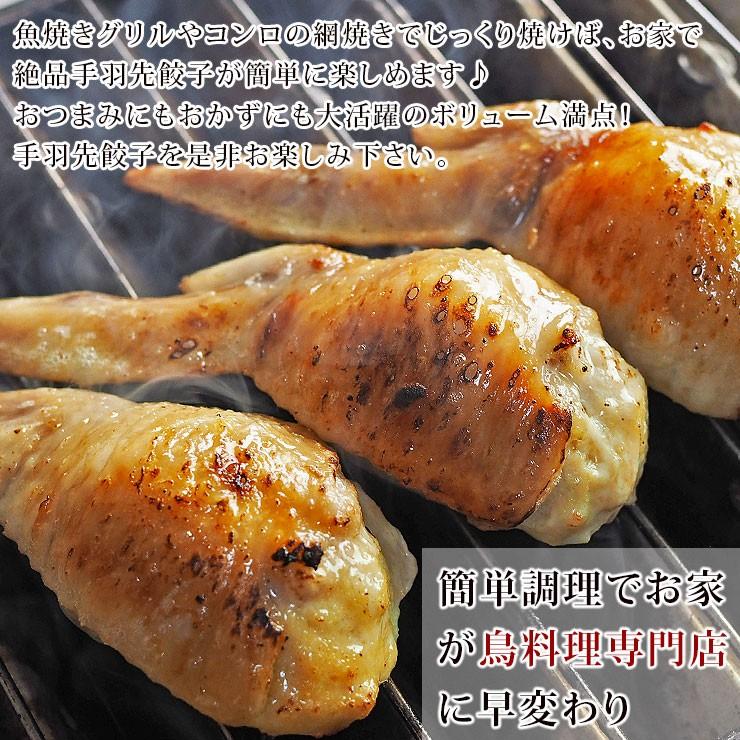 手羽餃子 手羽先餃子 野菜餃子 5本 バーベキュー q q 焼き鳥 焼鳥 やきとり ヤキトリ 焼肉 晩酌 おつまみ 酒の肴 父の日 プレゼント 食べ物 惣菜 冷凍 Teba Ygyoza グルメマイスター Yahoo 店 通販 Yahoo ショッピング