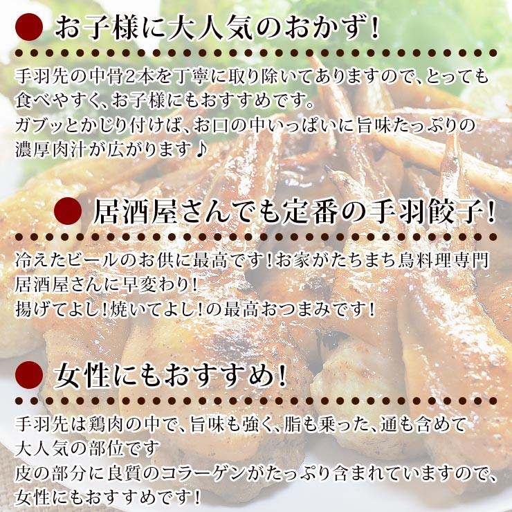 手羽餃子 手羽先餃子 野菜餃子 5本 バーベキュー q q 焼き鳥 焼鳥 やきとり ヤキトリ 焼肉 晩酌 おつまみ 酒の肴 父の日 プレゼント 食べ物 惣菜 冷凍 Teba Ygyoza グルメマイスター Yahoo 店 通販 Yahoo ショッピング