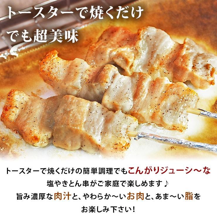 【 送料無料 】 焼きとん 塩 バイキング 200本 bbq BBQ バーベキュー 贈り物 ギフト 焼肉 焼鳥 焼き鳥 焼き肉 惣菜 肉 生 チルドの画像