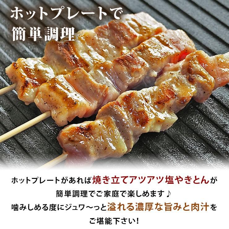 【 送料無料 】 焼きとん 塩 バイキング 30本 焼肉 BBQ バーベキュー 焼鳥 焼き鳥 焼き肉 惣菜 グリル ギフト 肉 生 チルド｜chickenmeister｜04