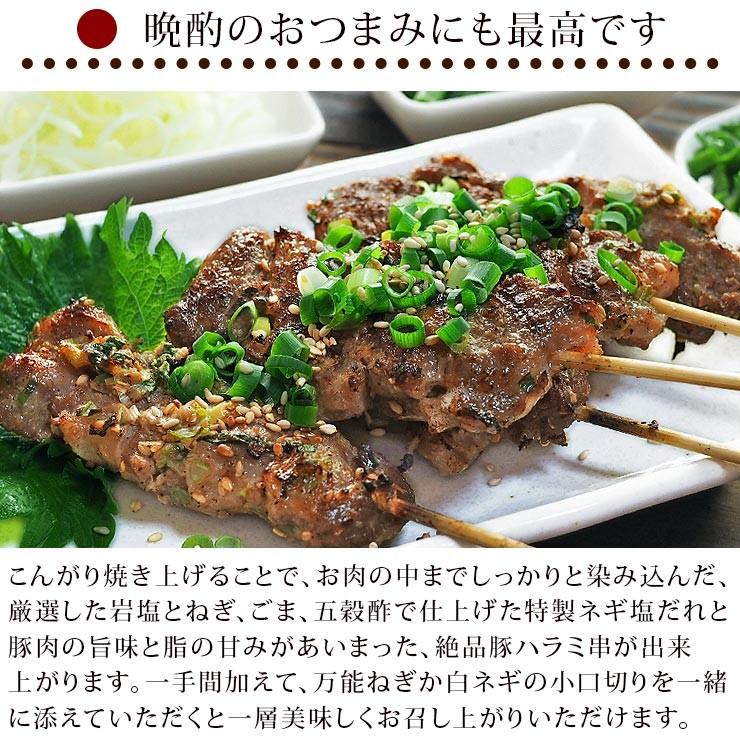 【 送料無料 】 焼きとん バイキング 焼肉 ねぎ塩だれ 100本 bbq BBQ バーベキュー 贈り物 ギフト 豚串焼き 焼鳥 焼き鳥 焼き肉 惣菜 肉 生 チルドの画像