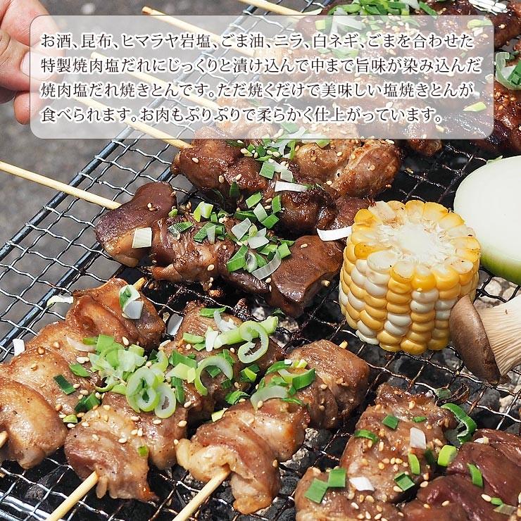 【 送料無料 】 焼きとん バイキング 焼肉 ねぎ塩だれ 200本 bbq BBQ バーベキュー 贈り物 ギフト 豚串焼き 焼鳥 焼き鳥 焼き肉 惣菜 肉 生 チルドの画像