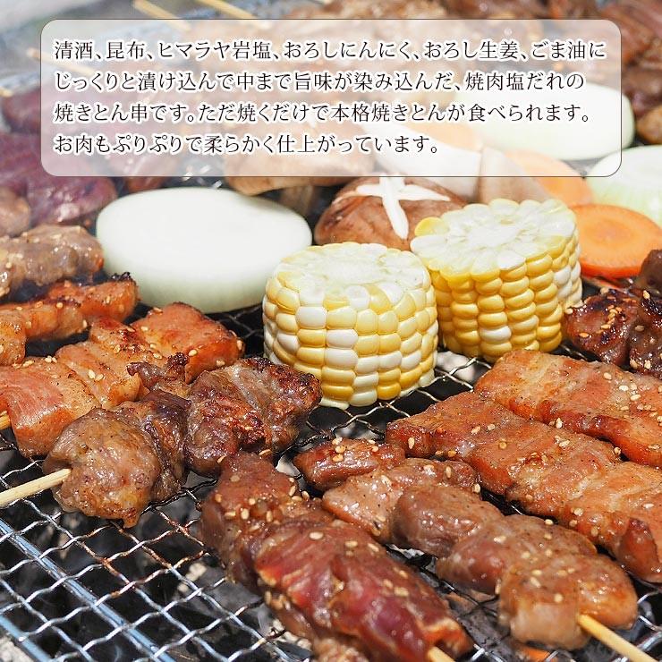 【 送料無料 】 焼きとん バイキング 焼肉 塩だれ 100本 bbq BBQ バーベキュー 贈り物 ギフト 豚串焼き 焼鳥 焼き鳥 焼き肉 惣菜 肉 生 チルドの画像