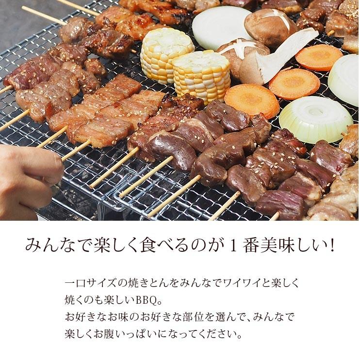 【 送料無料 】 焼きとん バイキング 焼肉 塩だれ 100本 bbq BBQ バーベキュー 贈り物 ギフト 豚串焼き 焼鳥 焼き鳥 焼き肉 惣菜 肉 生 チルドの画像
