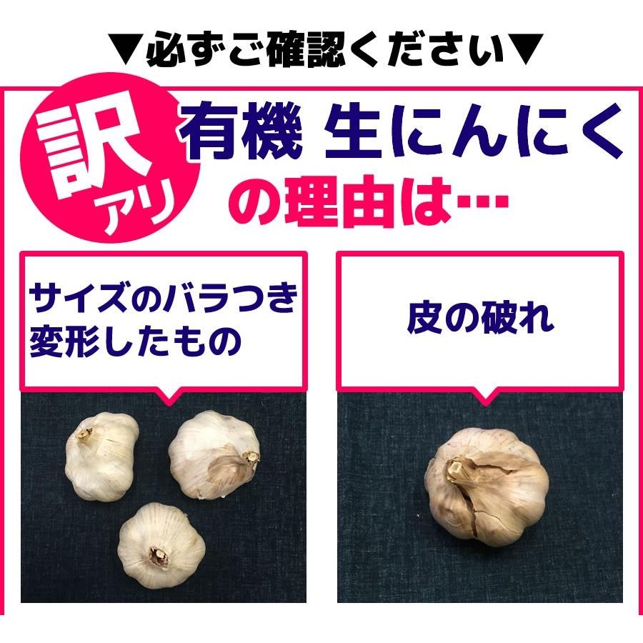 にんにく 訳あり 有機生ニンニク 1kg 送料無料 アウトレット スペイン産 ちこり村 ちこり村 おせち料理と黒にんにく 通販 Yahoo ショッピング