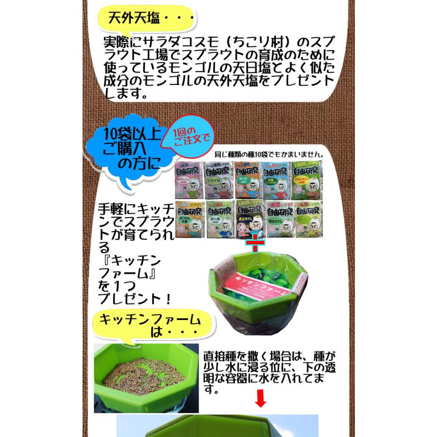 自由研究 種 夏休み 小学生 家庭菜園 スプラウト 豆苗 もやし ブロッコリーの新芽 かいわれ大根 メール便 サラダコスモ ちこり村 | ブランド登録なし | 10