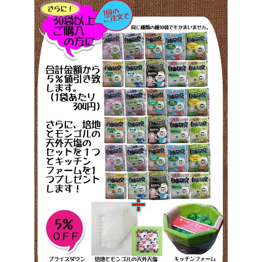 自由研究 種 夏休み 小学生 家庭菜園 スプラウト 豆苗 もやし ブロッコリーの新芽 かいわれ大根 メール便 サラダコスモ ちこり村 | ブランド登録なし | 12