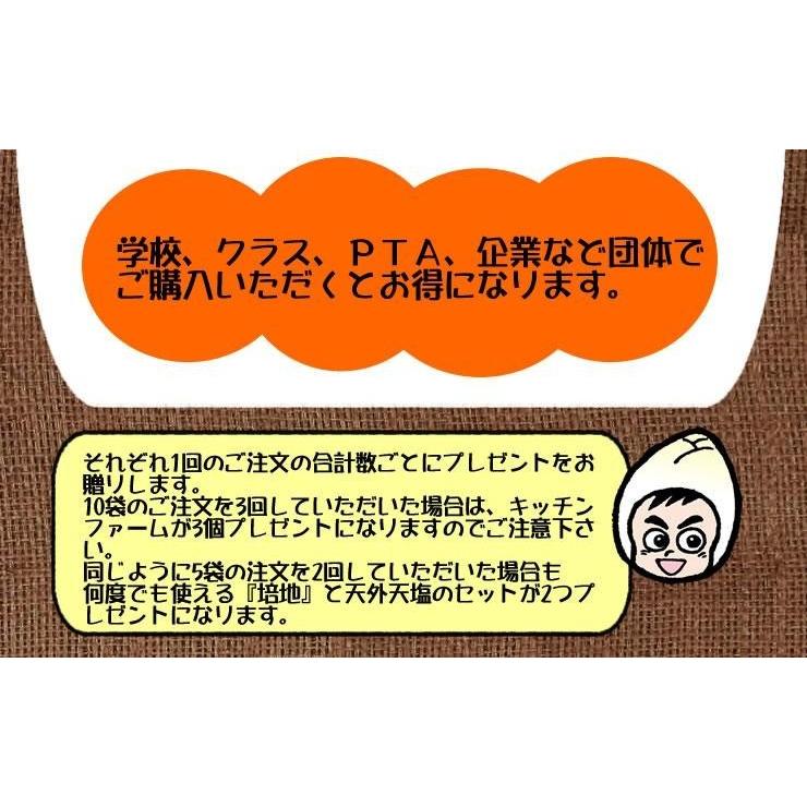 自由研究 種 夏休み 小学生 家庭菜園 スプラウト 豆苗 もやし ブロッコリーの新芽 かいわれ大根 メール便 サラダコスモ ちこり村 | ブランド登録なし | 13