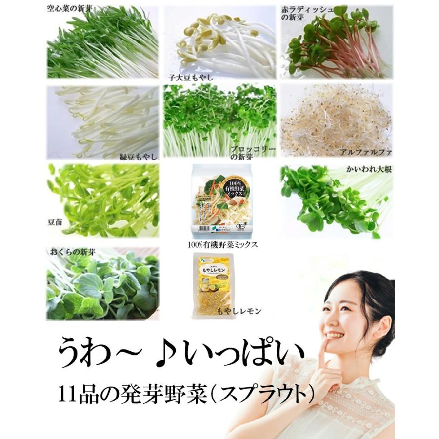 ブロッコリースプラウト 野菜セット 発芽野菜 おためし 11品セット 豆苗 子大豆もやし 機能性表示食品 ミールキット カット野菜 ギフト 送料無料 | ちこり村 | 03