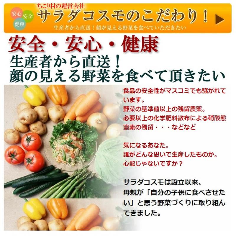 ブロッコリースプラウト 野菜セット 発芽野菜 おためし 11品セット 豆苗 子大豆もやし 機能性表示食品 ミールキット カット野菜 ギフト 送料無料 | ちこり村 | 05