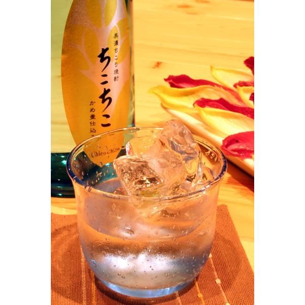 ちこり村 お酒 焼酎 ちこちこ 国産ちこり芋原料 ちこり焼酎 720ml 6本