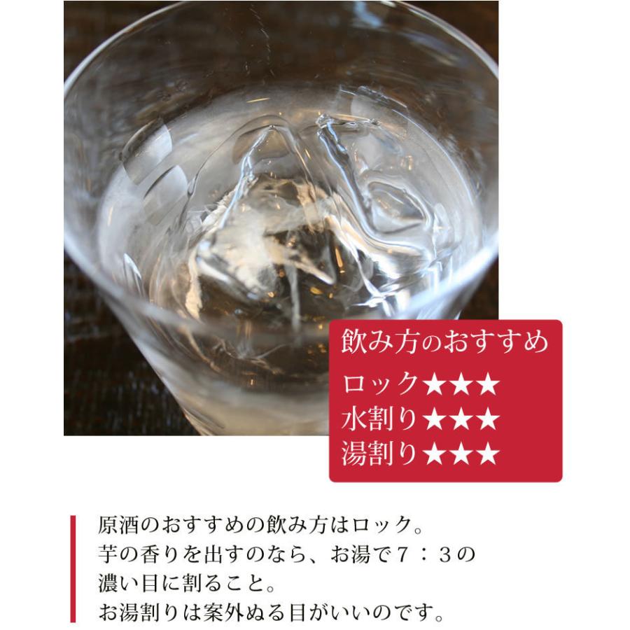 ちこり村 焼酎 芋焼酎 原酒 ちこり焼酎 無濾過常圧39度 ちこり焼酎ちこ