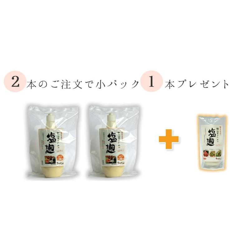 ちこり村 塩麹 塩こうじ 蔵元手づくり お得な大パック600g ちこり村 塩麹 塩こうじ 蔵元手づくり お得な大パック600g