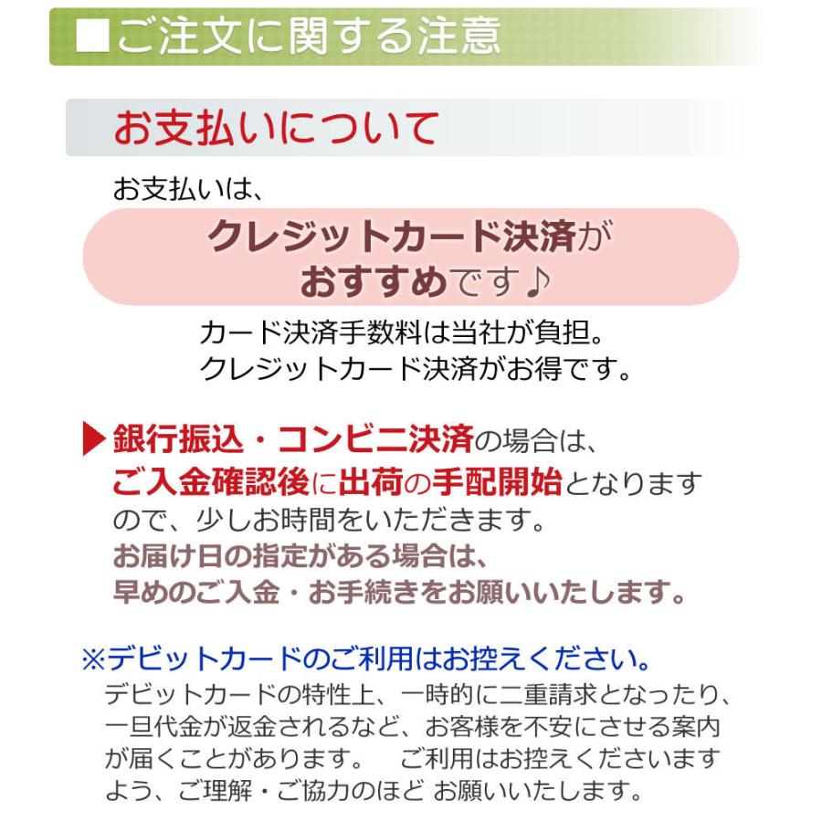 母の日 2026 花 スイーツ プレゼント 和菓子 カーネーション 鉢植え 5号鉢 栗きんとん 中津川 送料無料 ギフト ちこり村 | ブランド登録なし | 19