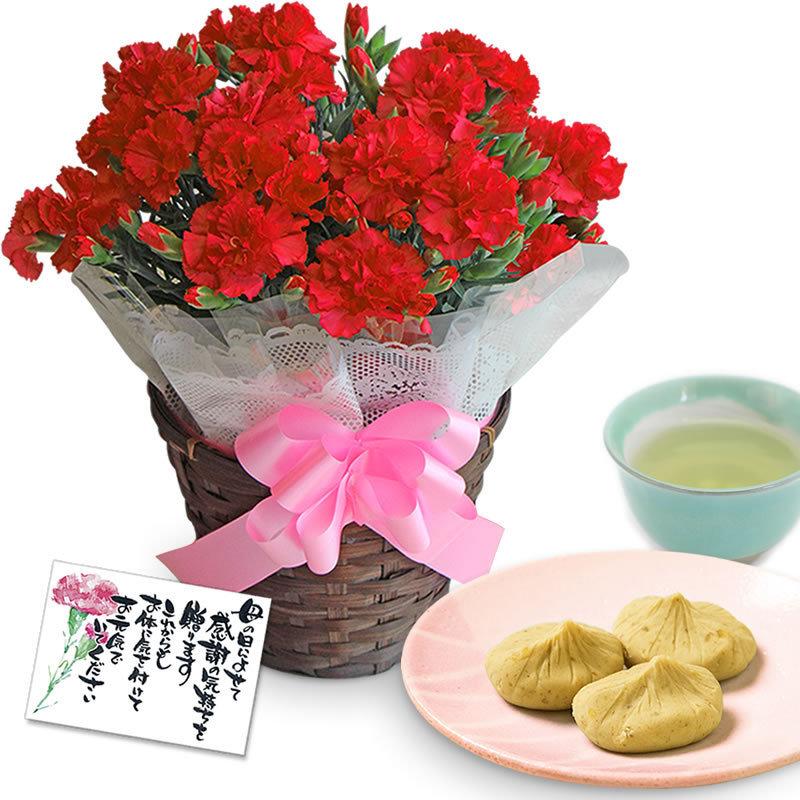 母の日 カーネーション 花 21 プレゼント 花とスイーツ 鉢植え 5号鉢 スイーツ 和菓子 栗きんとん 中津川 送料無料 ギフト ちこり村 3609 岐阜 中津川ちこり村 ヤフー店 通販 Yahoo ショッピング