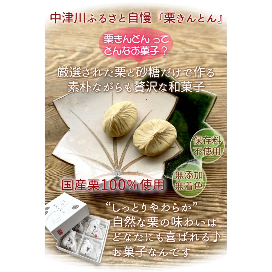 母の日 2026 花 スイーツ プレゼント 和菓子 カーネーション 鉢植え 5号鉢 栗きんとん 中津川 送料無料 ギフト ちこり村 | ブランド登録なし | 12