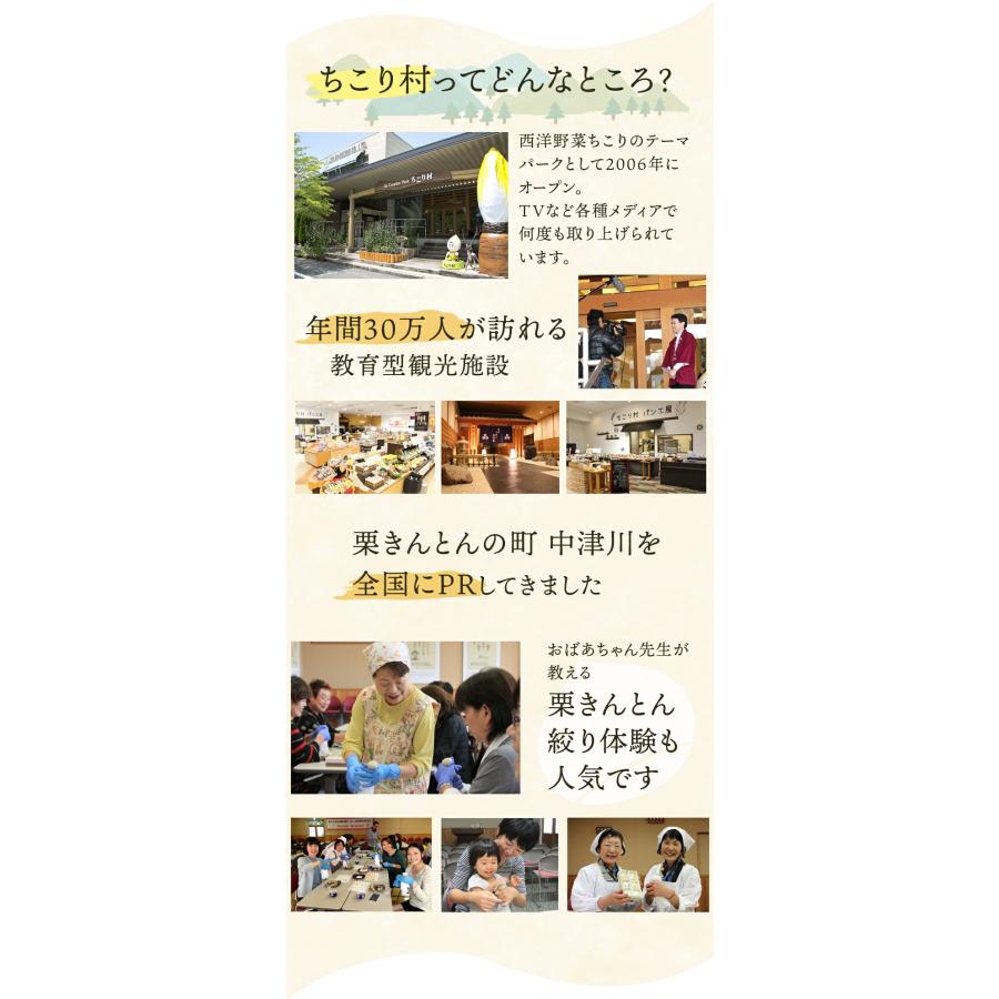 父の日 2024 スイーツ ギフト 和菓子 プレゼント 栗きんとん 10個 中津川 ちこり村 送料無料｜chicory｜10